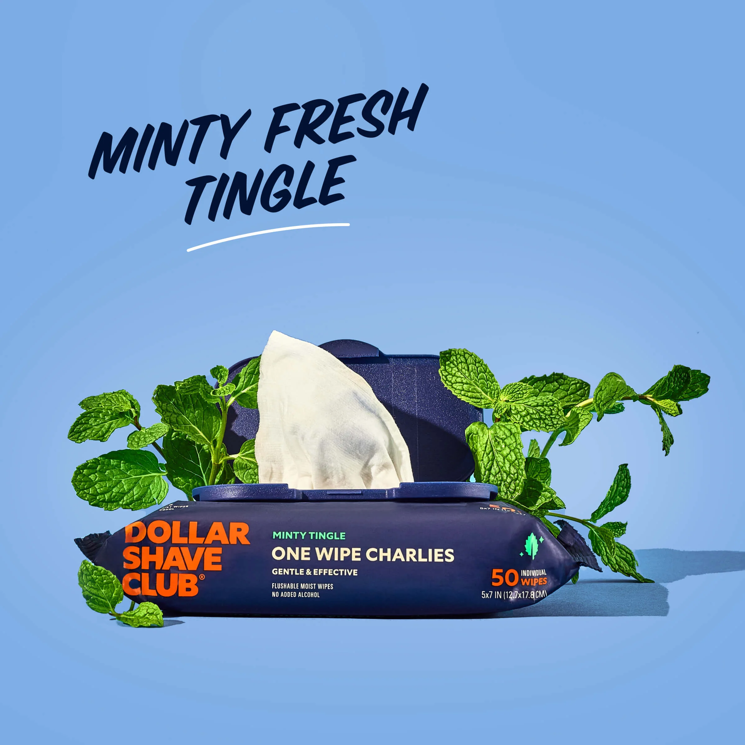 One Wipe Charlies Butt Wipes 3 One Wipe Charlies Butt Wipes